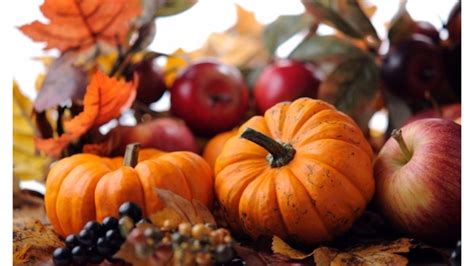 autumn images with pumpkins|pumpkin fall pictures images.